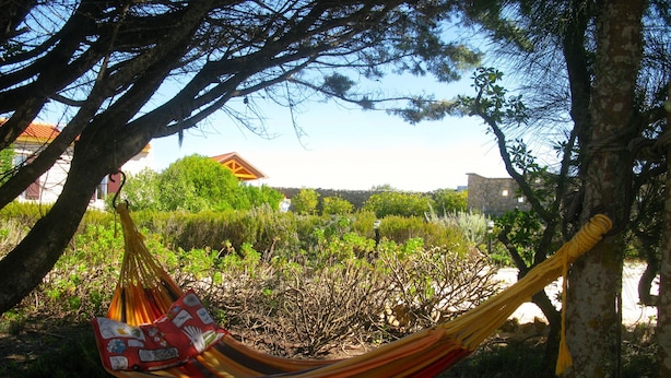Un hamac est suspendu entre deux arbres dans un jardin, avec une maison en arrière-plan.