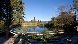 A natural landscape with a pond, wooden bridge, and surrounding trees.
