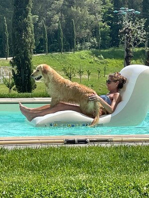 Pool - look out the windows and .... dream (peccioli -pisa-)