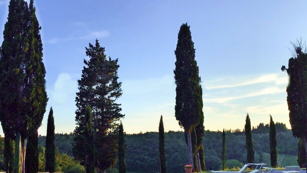 A swimming pool with lounge chairs and tall trees in the background.