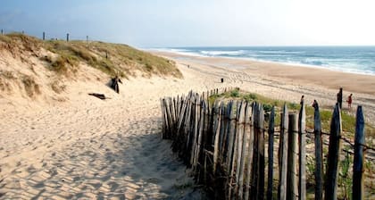 Biscarrosse and its 3 poles: Beach, City and Lakes
