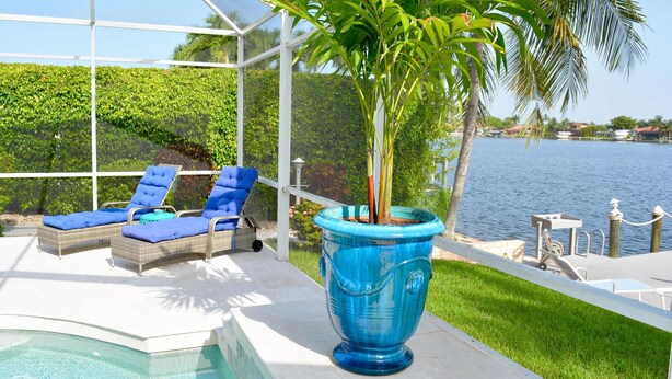 Zona junto a la piscina con sillones de descanso, una maceta azul grande con una palmera y vistas al agua.