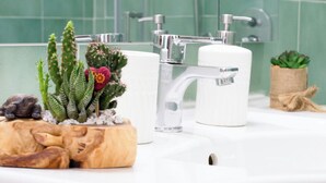 A bathroom with a white sink, chrome faucet, and a small cactus plant in a wooden planter. - Alma Adry (Naples)