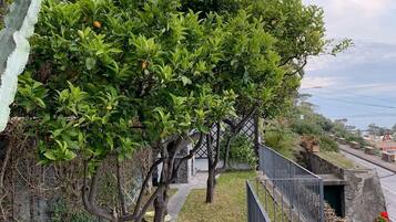 Apartemen, 4 kamar tidur | Pemandangan dari kamar