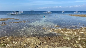 Escena costera con aguas transparentes, costa rocosa y varios barcos.