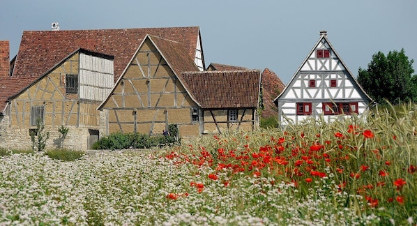 A traditional half-timbered house with a stone foundation and a tiled roof, surrounded by a field of white and red flowers. - Kurhotel Pyramide (Bad Windsheim)