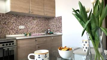 Standard-Apartment (Lva Tolstogo st.38) | Eigene Küche | Großer Kühlschrank, Mikrowelle, Ofen, Herdplatte