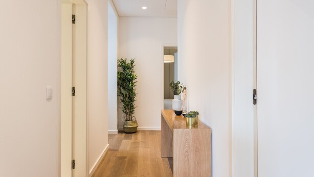 Un couloir avec un plancher en bois, un comptoir d’accueil et une plante en pot.