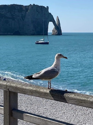 Ideally located 2 minutes' walk from the sea and cliffs.