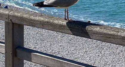 Ideally located 2 minutes' walk from the sea and cliffs.