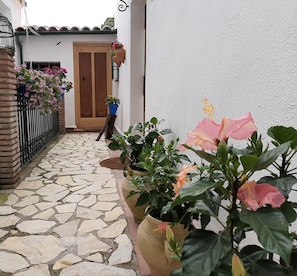 Detalle exterior