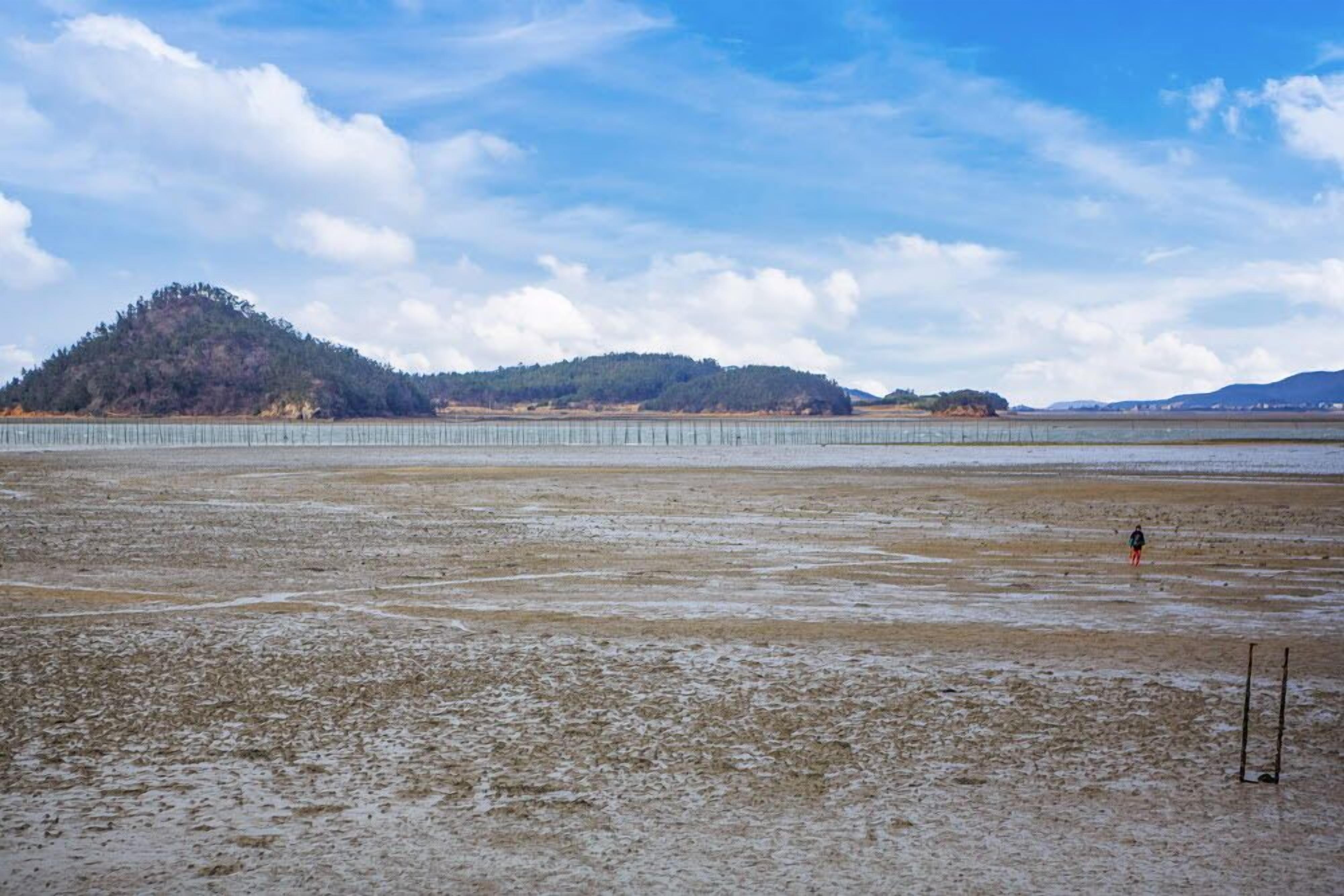 Ein weiter, offener Strand mit einer bewaldeten Hügelkette im Hintergrund.