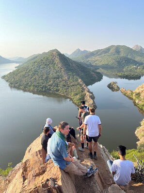 เดินป่า