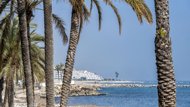 A coastal scene with palm trees, a rocky shoreline, and a building in the background. - Hostal Altea House (Altea)