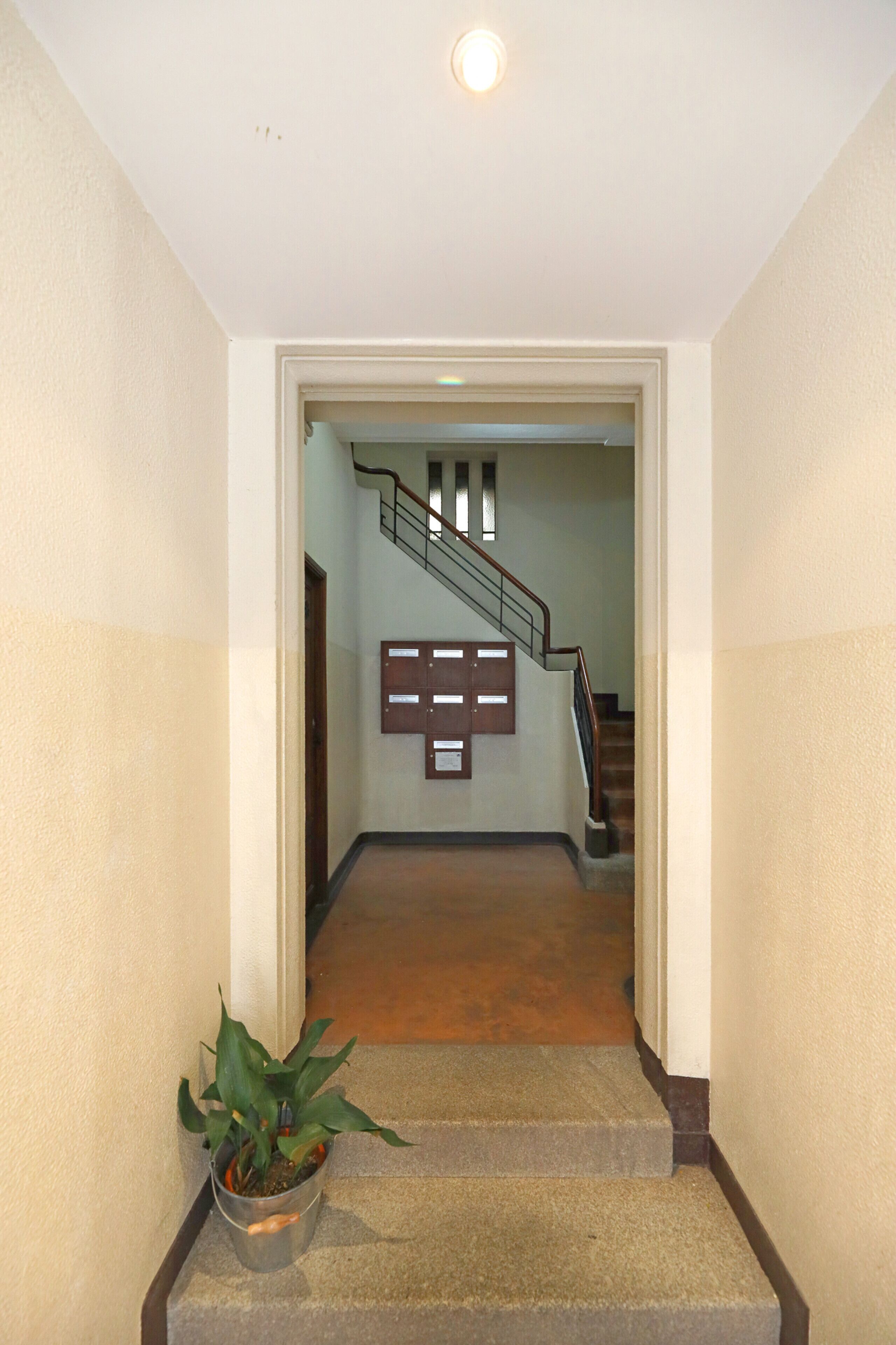 A hallway with a potted plant, a wooden door, and a staircase with a handrail.
