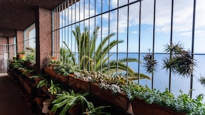 Een balkon met potplanten en uitzicht op zee.