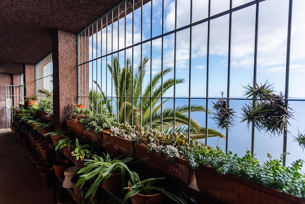 A balcony with potted plants and a view of the sea.