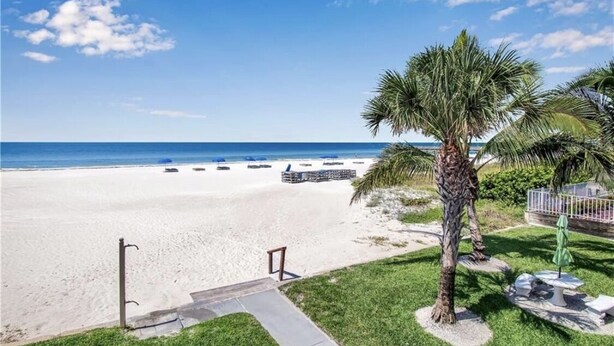A beach view with a clear sky, palm trees, and beach chairs. - The Seascape Premier Beachfront Cottage: Gulf View, Pool, Hot Tub, BBQ, WiFi (Indian Shores)