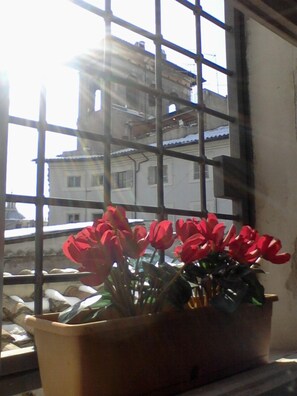 Interior - An Apartment In The Center Of Rome With A View On The Roofs And A Terrace (rome)