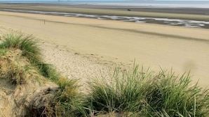 Une plage avec des dunes de sable et une végétation clairsemée.