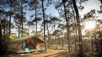 Comfort Tent | Terrace/patio