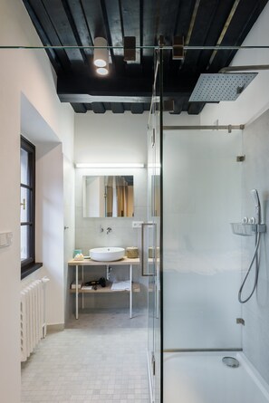 Suite 2 | Salle de bain | Douche, serviettes fournies, papier toilette