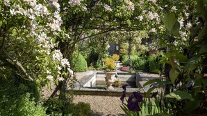 A garden with a stone fountain, various plants, and a stone pathway. - The Carriage House - sleeps 4 guests  in 2 bedrooms (Leyburn)