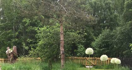 Thistle Cottage, CrannachCottages