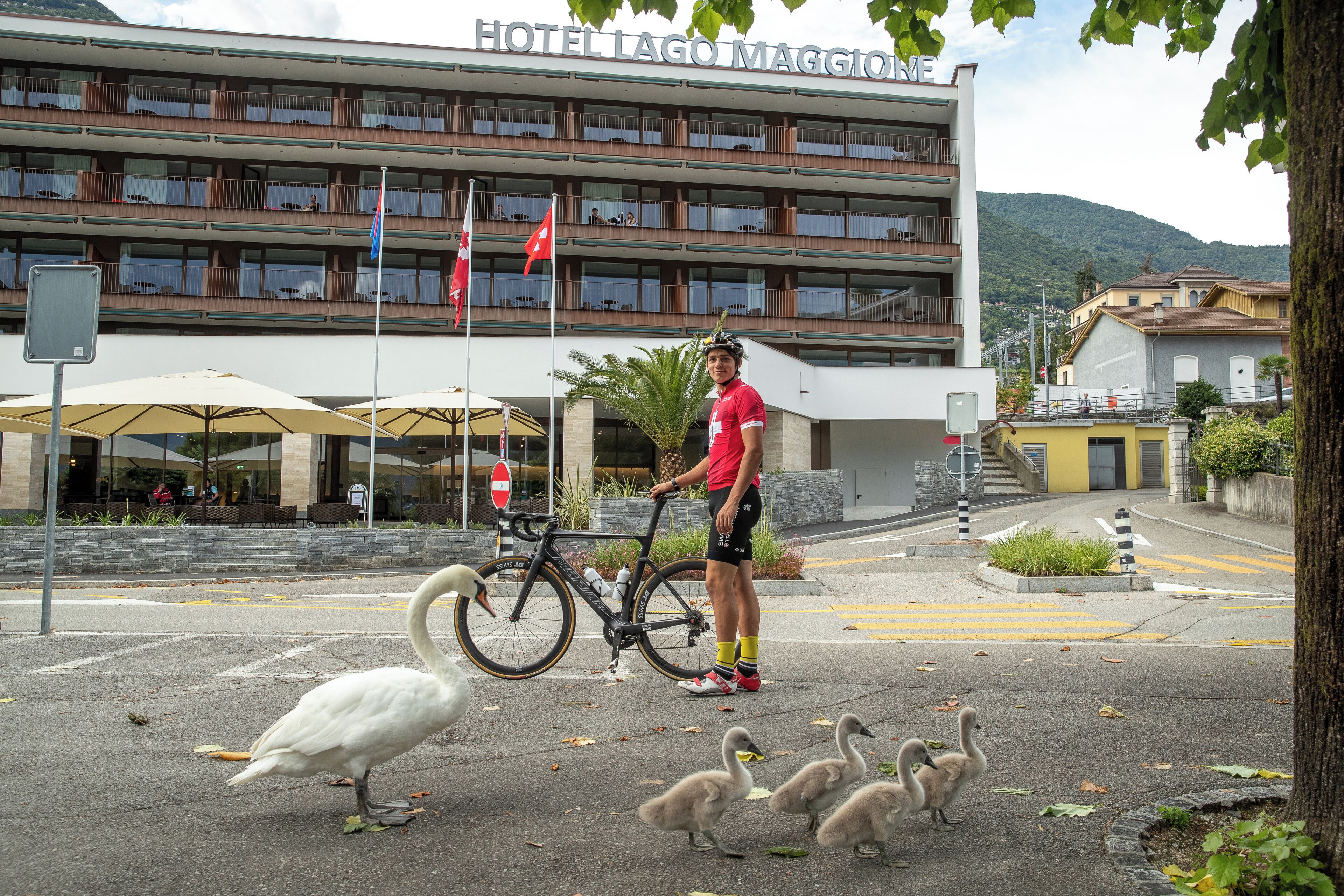 Ein Hotel mit mehreren Balkonen, einem Fahrrad und einem Schwan und einer Ente auf dem Boden.