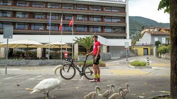 Ein Hotel mit mehreren Balkonen, einem Fahrrad und einem Schwan und einer Ente auf dem Boden.