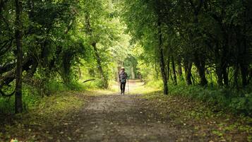 A person hiking on a dirt path surrounded by dense green foliage.