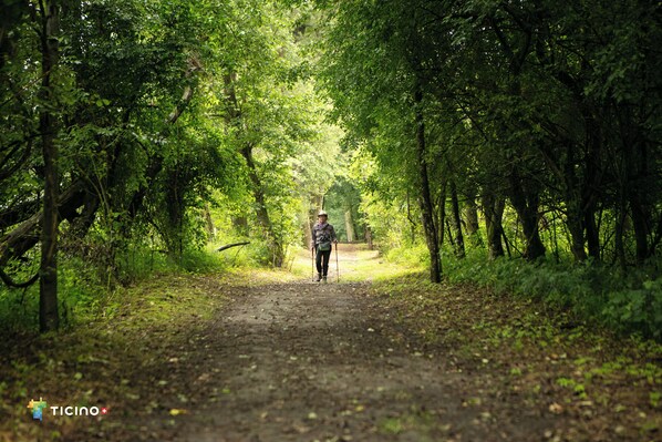 A person hiking on a dirt path surrounded by dense green foliage. - Hotel Lago Maggiore (Muralto)