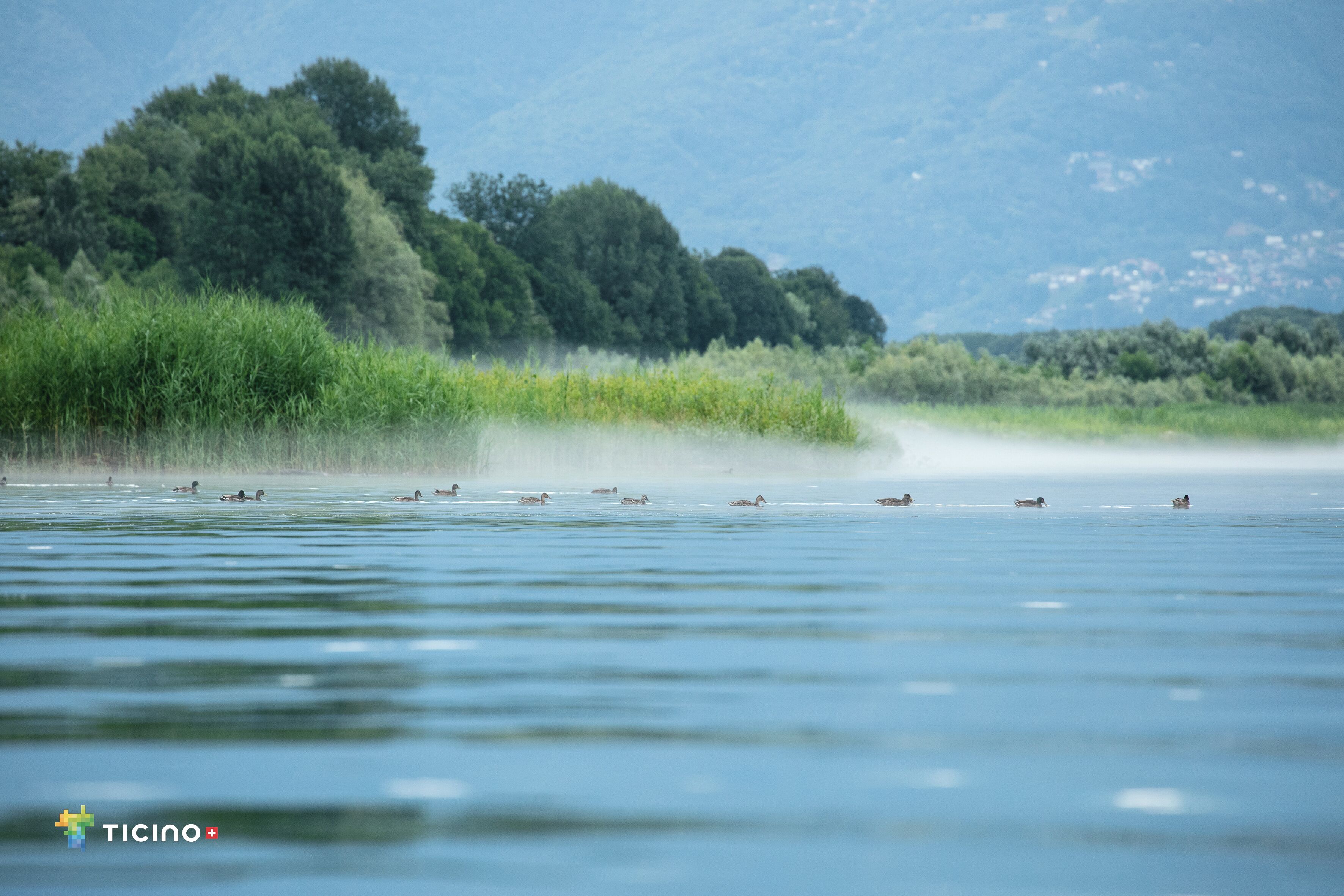 Photo - Hotel Lago Maggiore - Welcome!