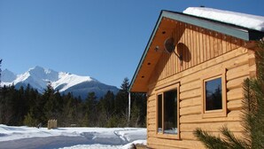 A wooden cabin with a large window and a satellite dish, surrounded by snow and trees, with a mountain in the background. - Mica Mountain Lodge & Mica cabin at Mt Robson Park, near Jasper National Park (Tête Jaune Cache)