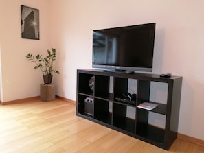 Maison (incl. cleaning fee 70 CHF) | Télévision