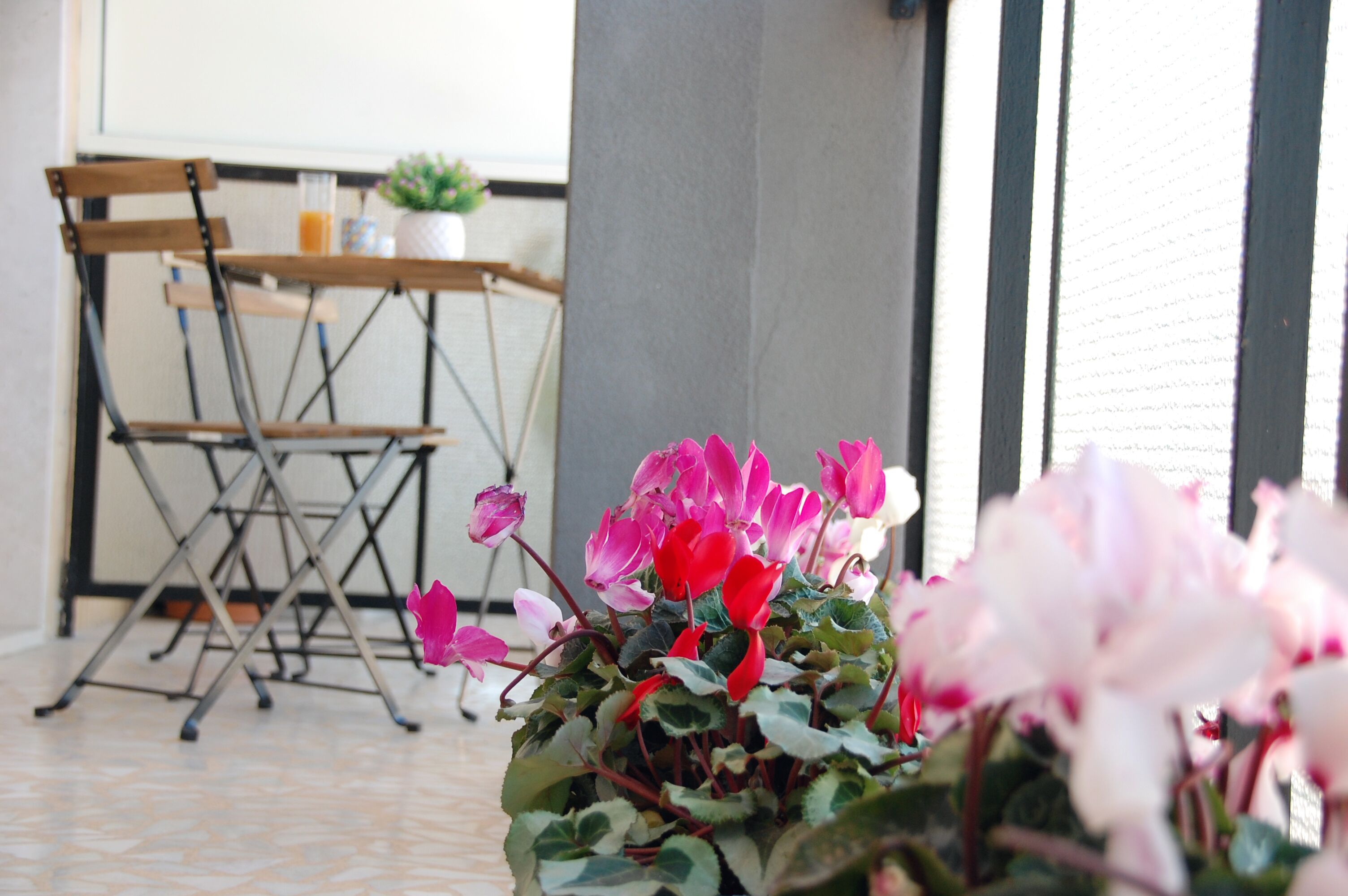A dining area with a table and chairs, a potted plant, and a window with blinds.