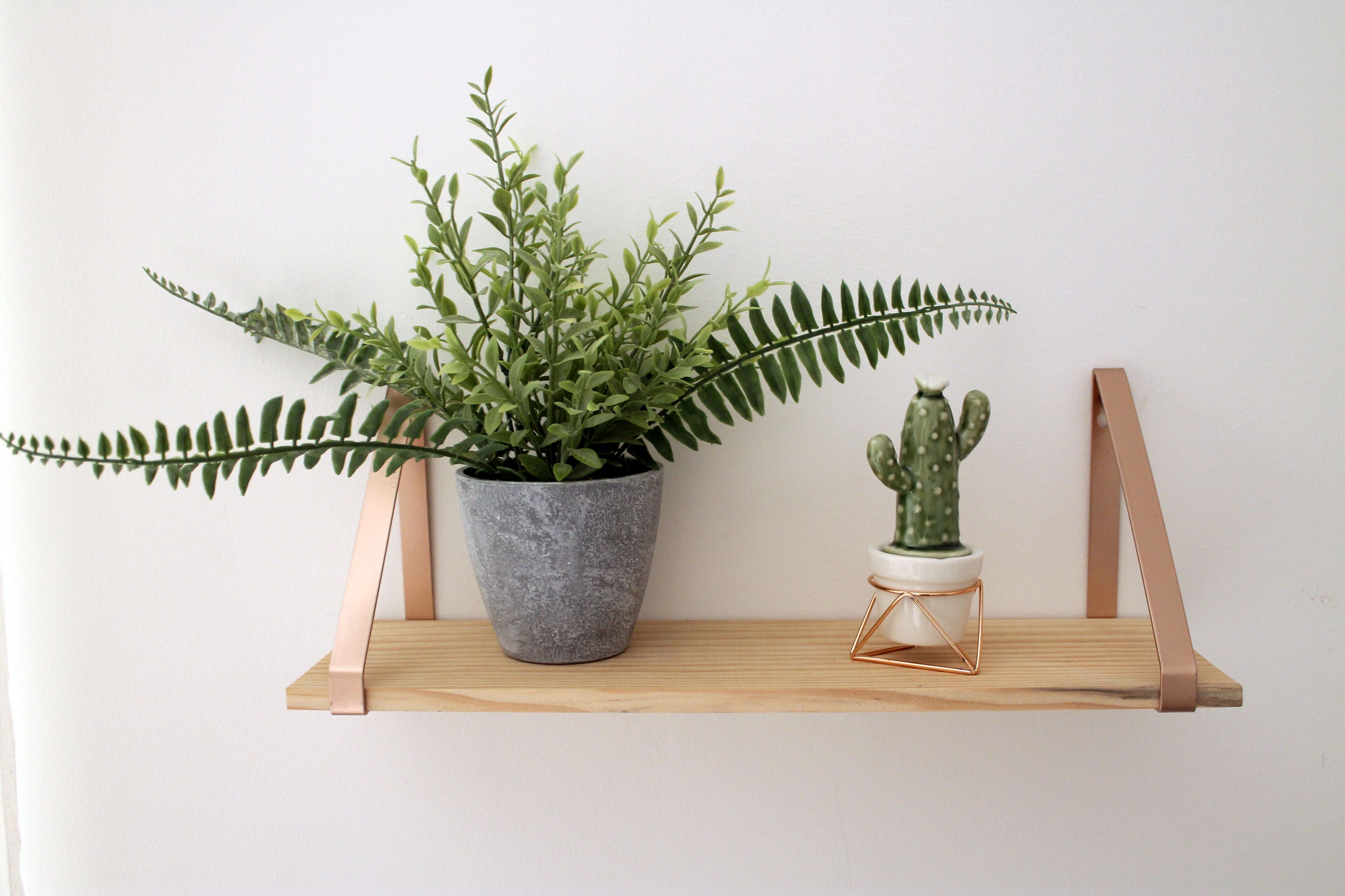 A wooden shelf with a large potted plant and a small cactus.