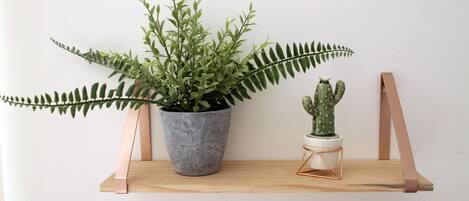 A wooden shelf with a large potted plant and a small cactus.