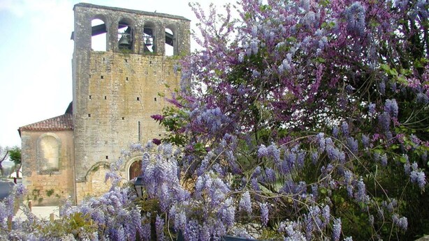 A historic stone building with arched windows and a bell tower, surrounded by purple wisteria vines. - Le Chambellan (Coux-et-Bigaroque-Mouzens)