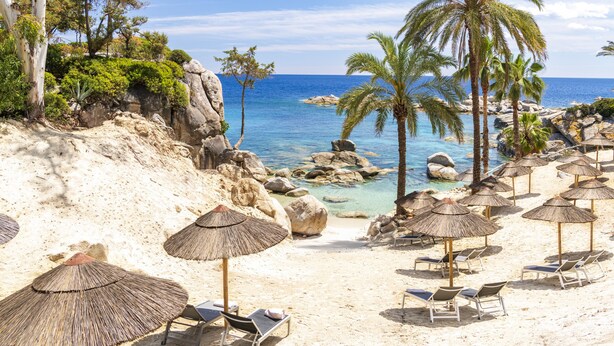 Ein Strand mit Liegestühlen und Strohdächern, eine felsige Küste und Palmen.