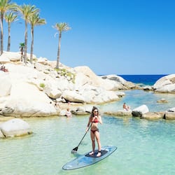 Surf/boogie boarding