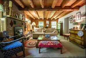 Smart TV, fireplace, DVD player, books
