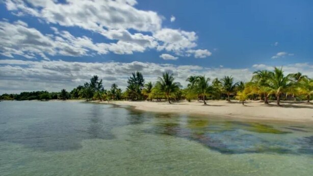 A beach with clear water, palm trees, and a sandy shore. - Coco's Beachfront Cabanas (Placencia)