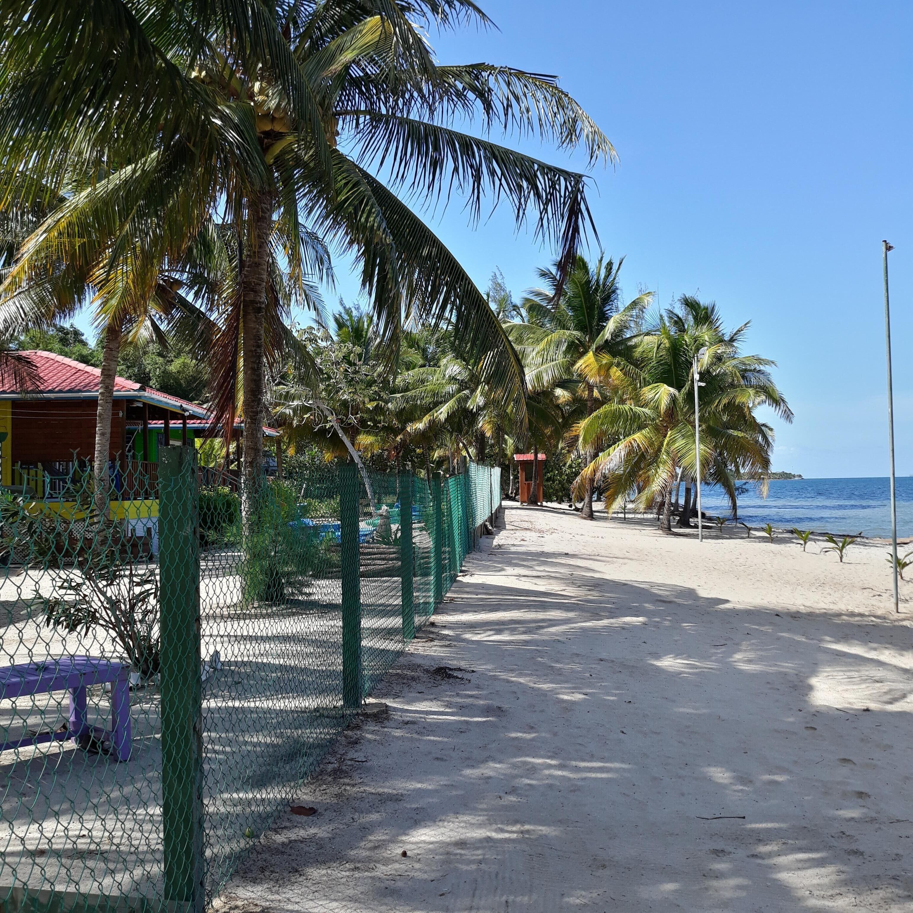 A beach with palm trees, a fence, and a building with a red roof.