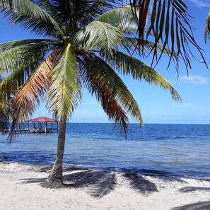 Private beach, sun loungers, beach towels, snorkeling - Coco's Beachfront Cabanas (Placencia)