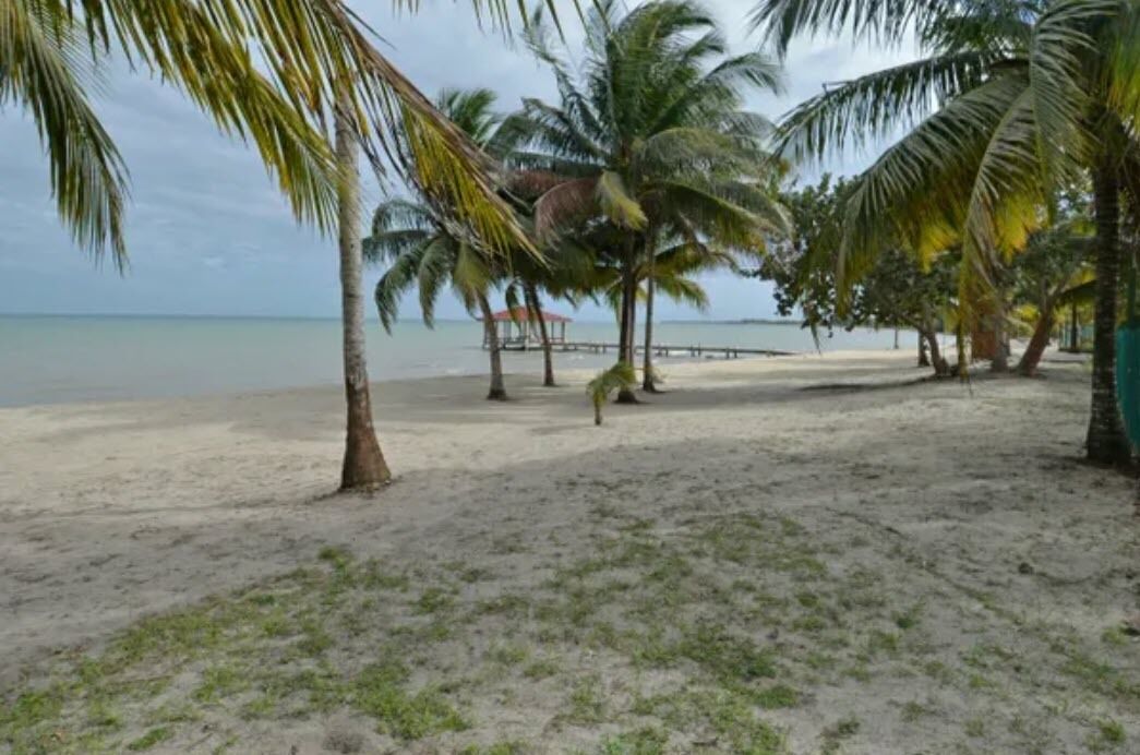 Una playa con palmeras y un muelle que se adentra en el agua.