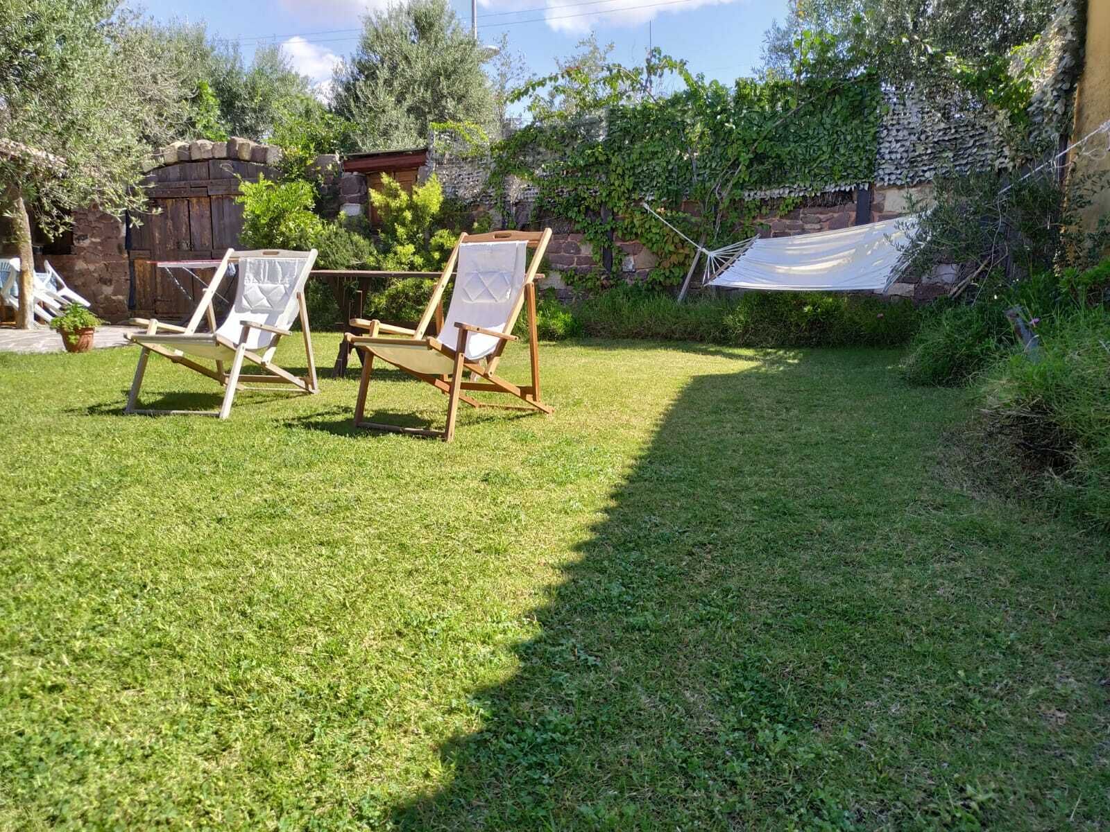 A grassy backyard with two wooden chairs and a hammock.