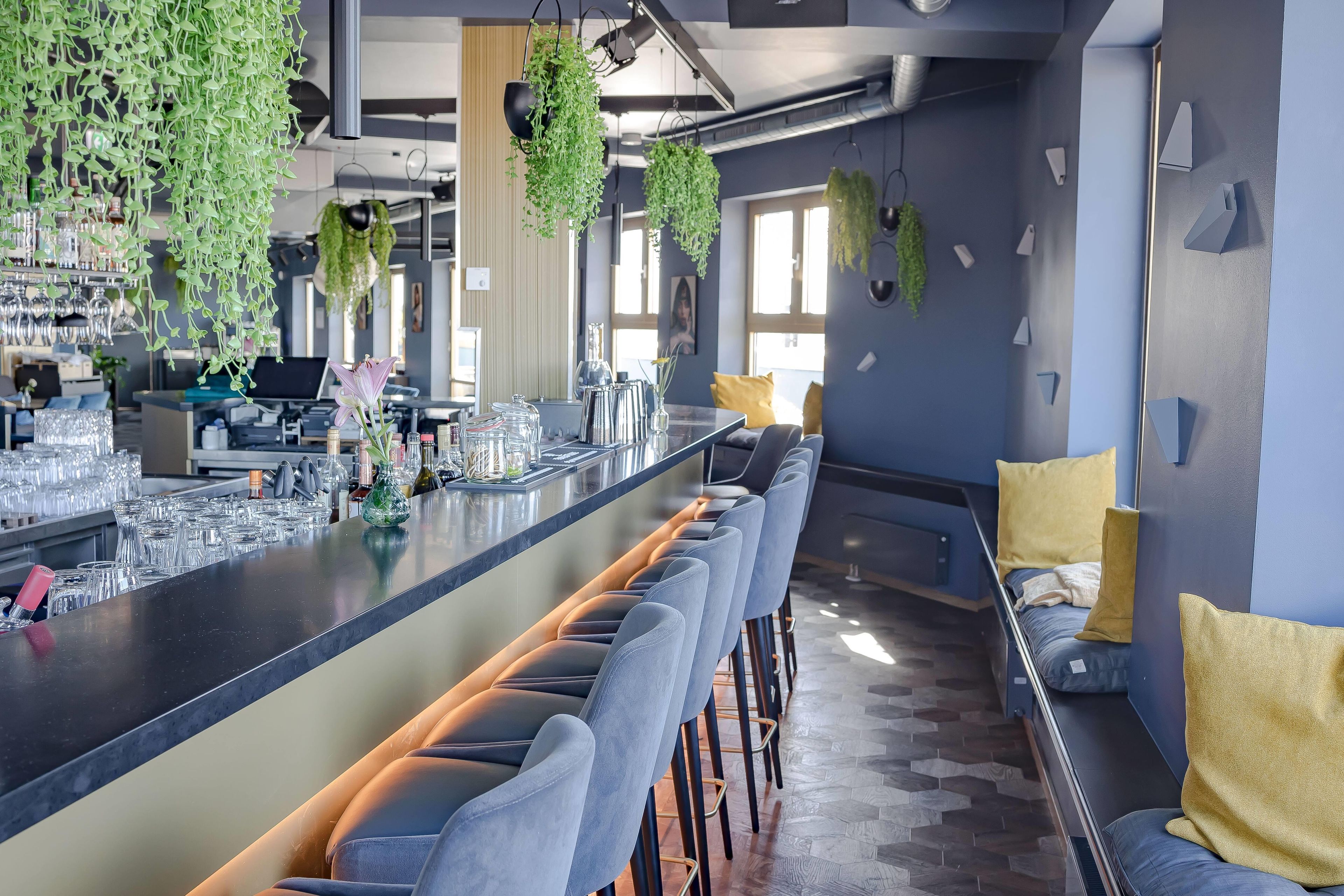 Eine moderne Bar mit einer langen Theke, Barhocker und hängenden Pflanzen.