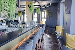 Un'area bar moderna con un lungo bancone, sgabelli da bar e piante pensili.