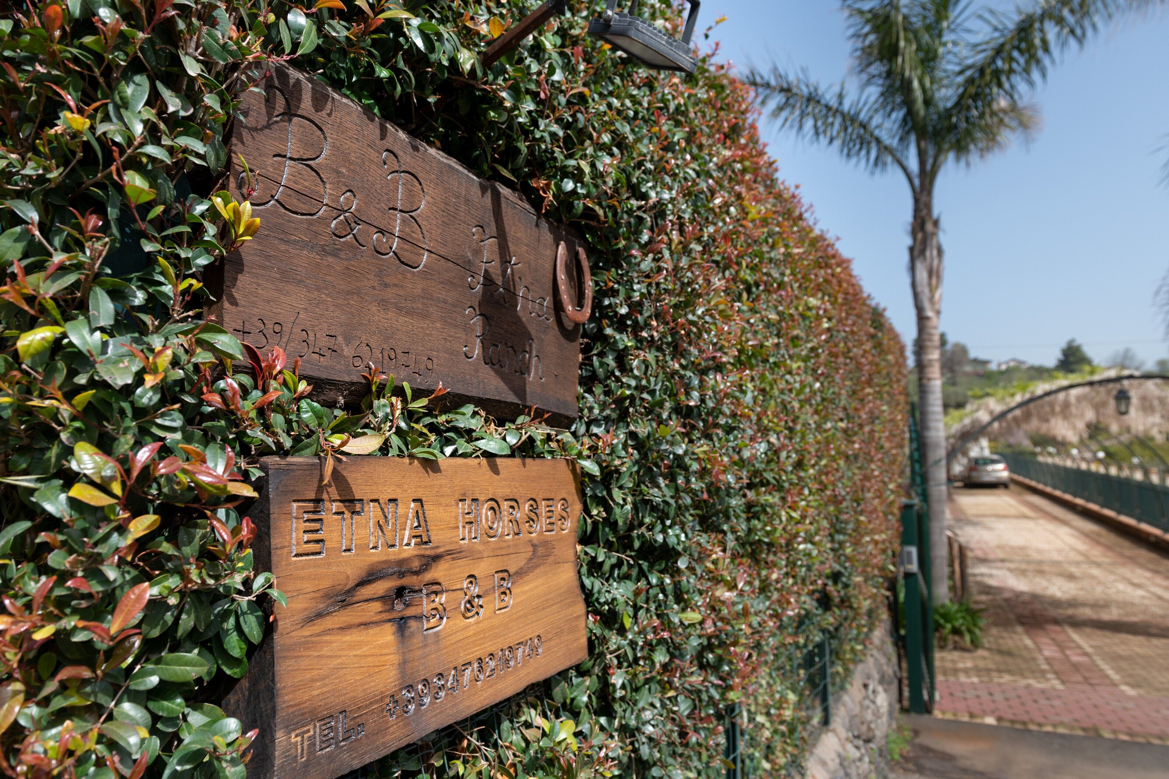 A wooden sign with 'ETNA HORSES' and 'B&B' indicating a bed and breakfast establishment.